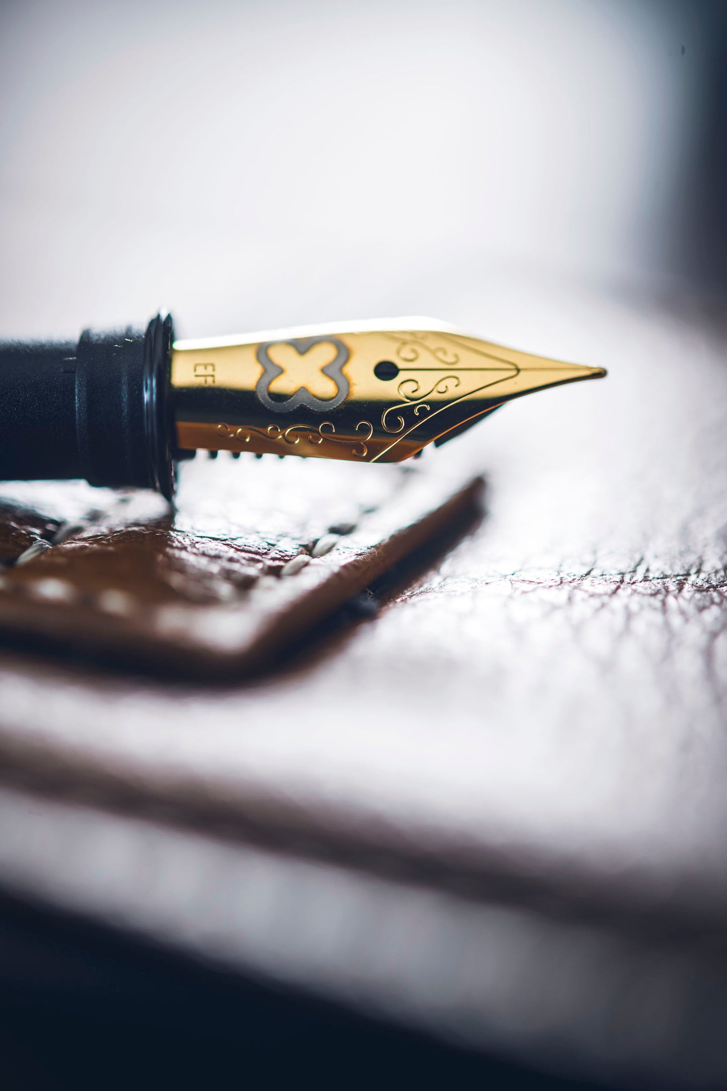 JR Fountain Pen Nibs