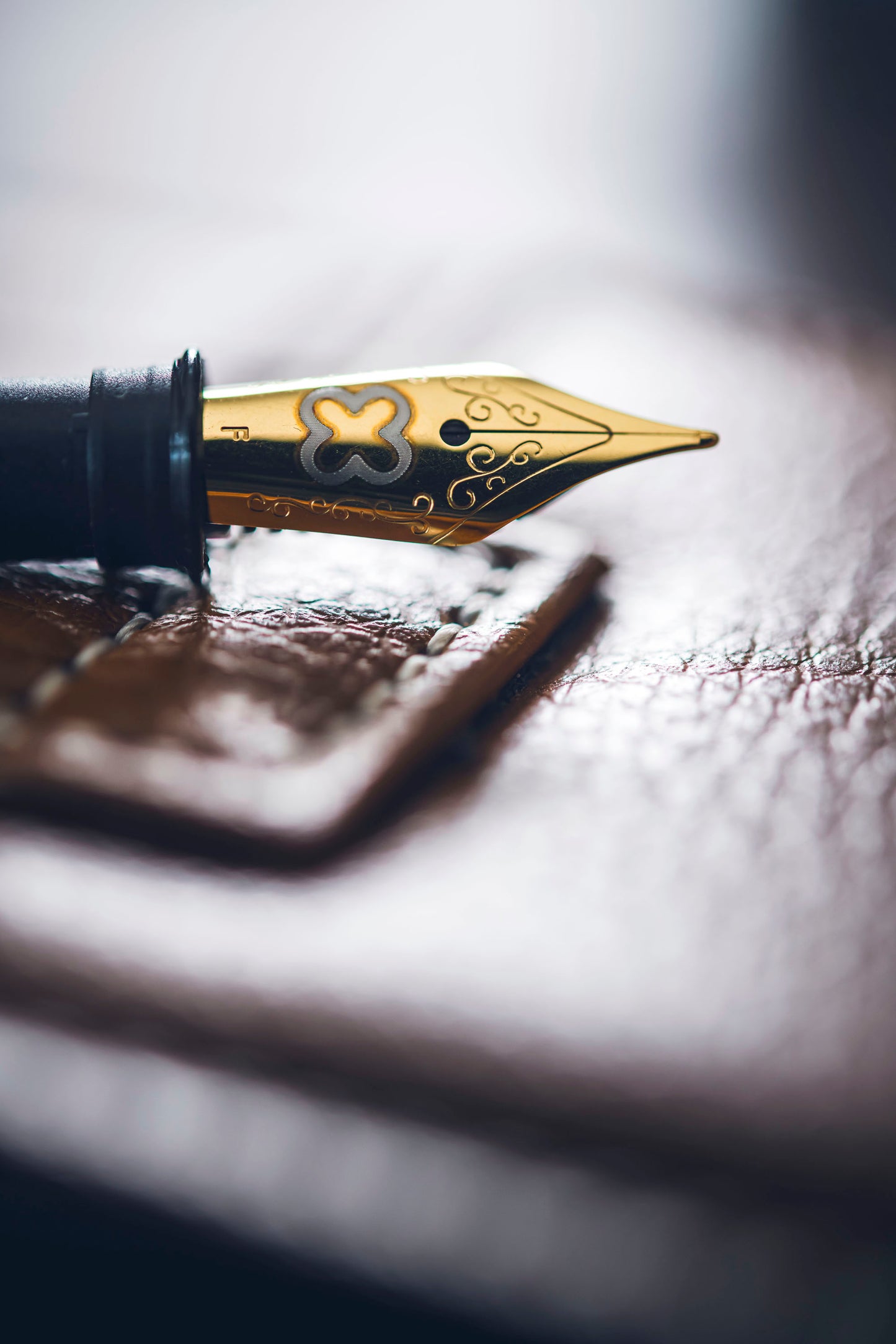 JR Fountain Pen Nibs