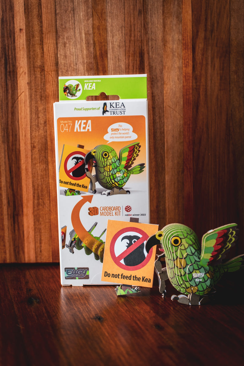 Eco-Friendly Cardboard Puzzle - Kea