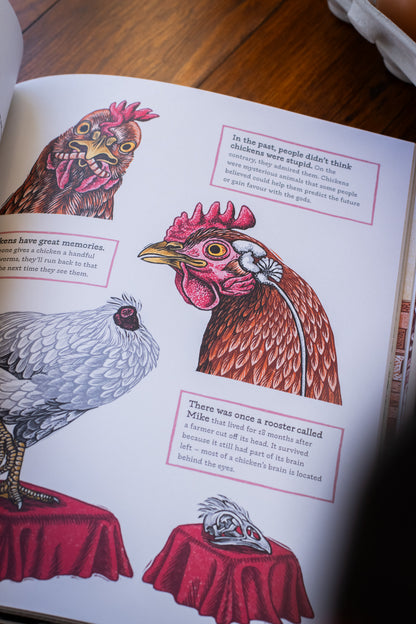 Cluck! The Eggstraordinary Story of Chickens
