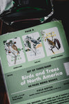 Birds & Trees of North America - Pack A