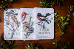 Birds & Trees of North America - Pack C