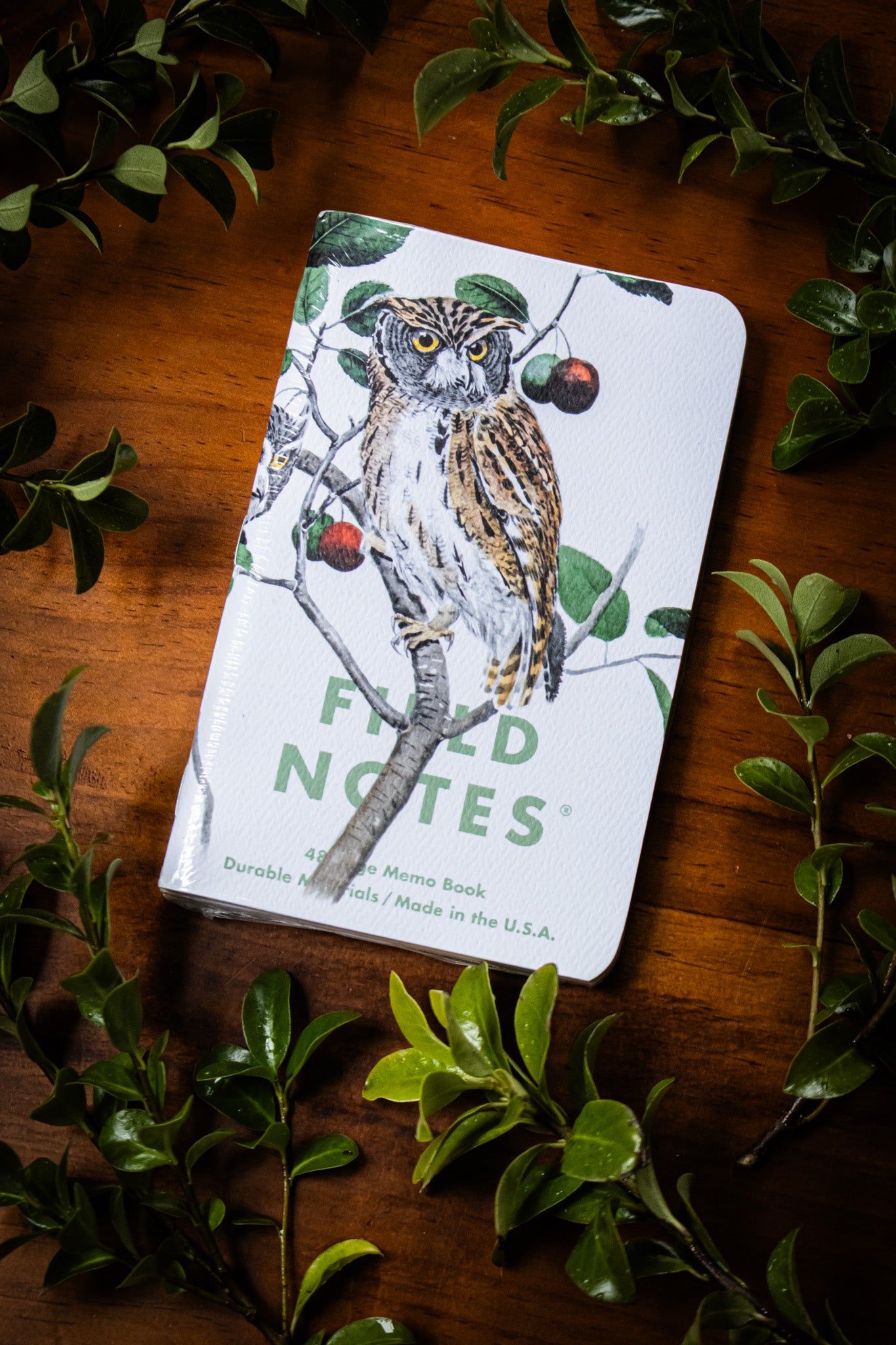 Birds & Trees of North America - Pack A