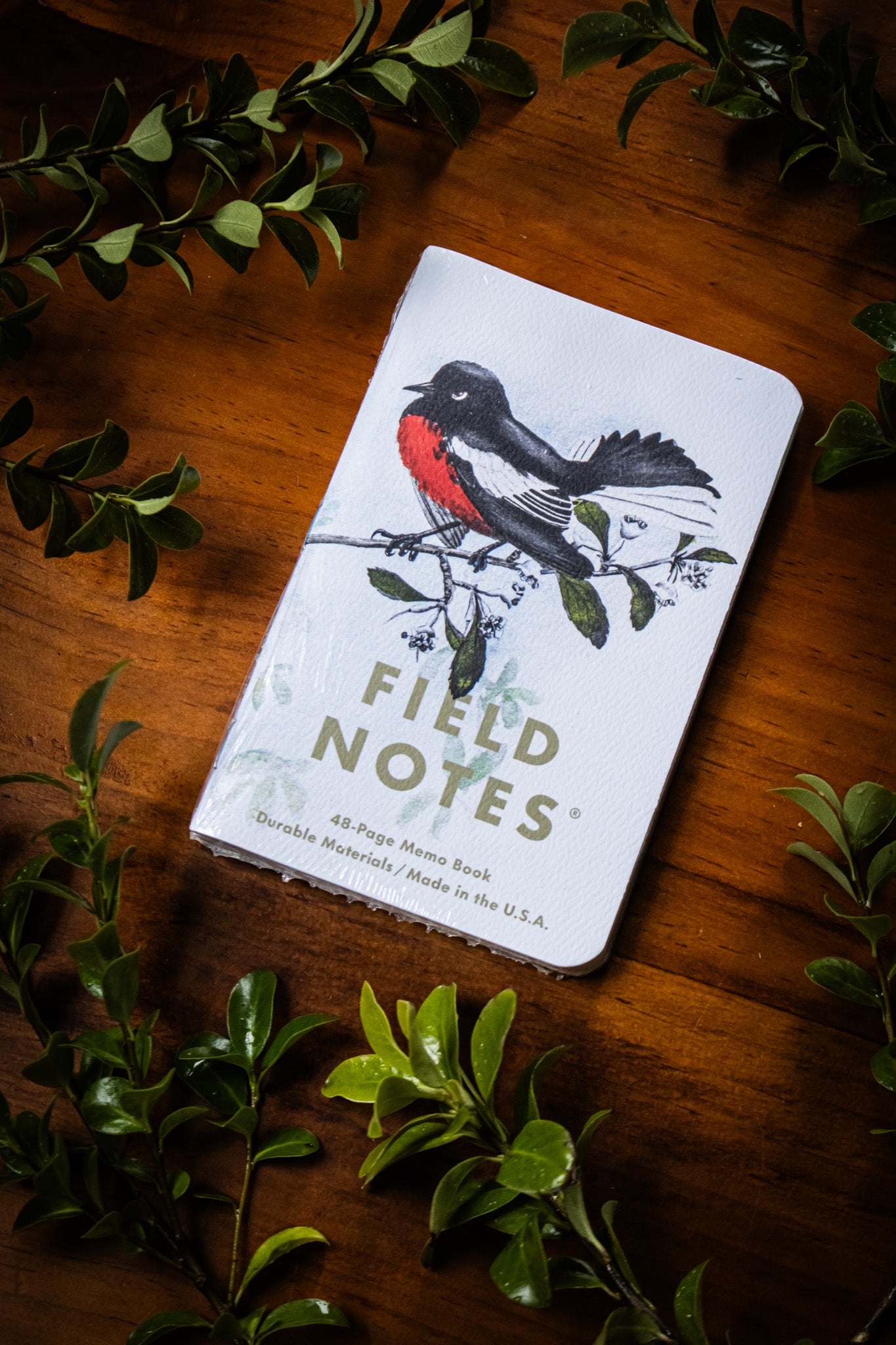 Birds & Trees of North America - Pack C