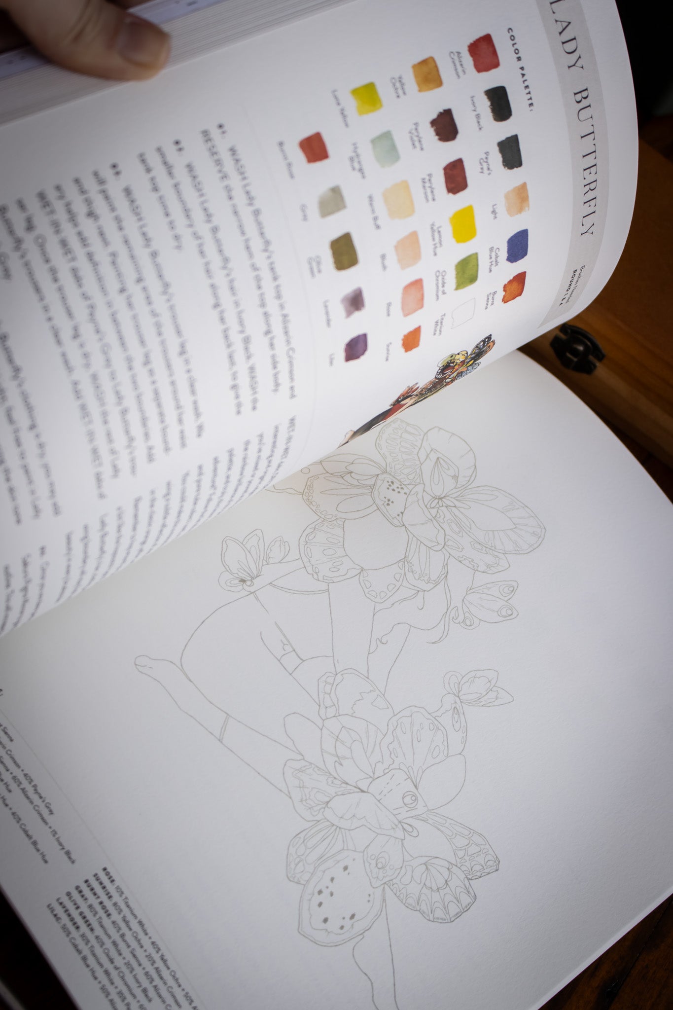 Watercolor Workbook 2: Flowers, Feathers, and ...
