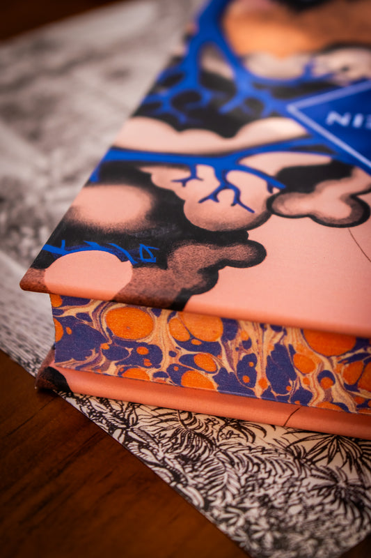 Frankenstein (Special Edition)