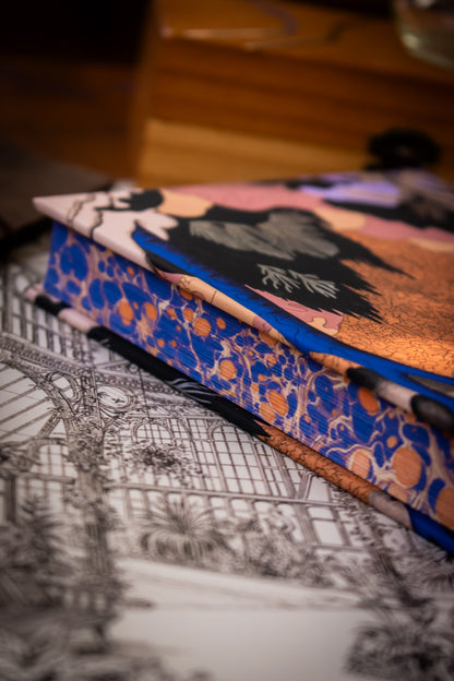 Frankenstein (Special Edition)