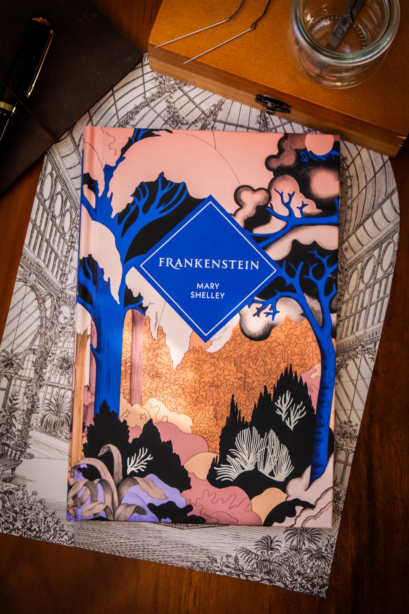 Frankenstein (Special Edition)