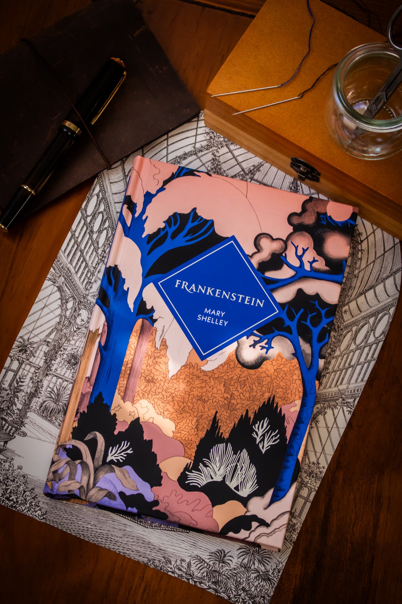 Frankenstein (Special Edition)