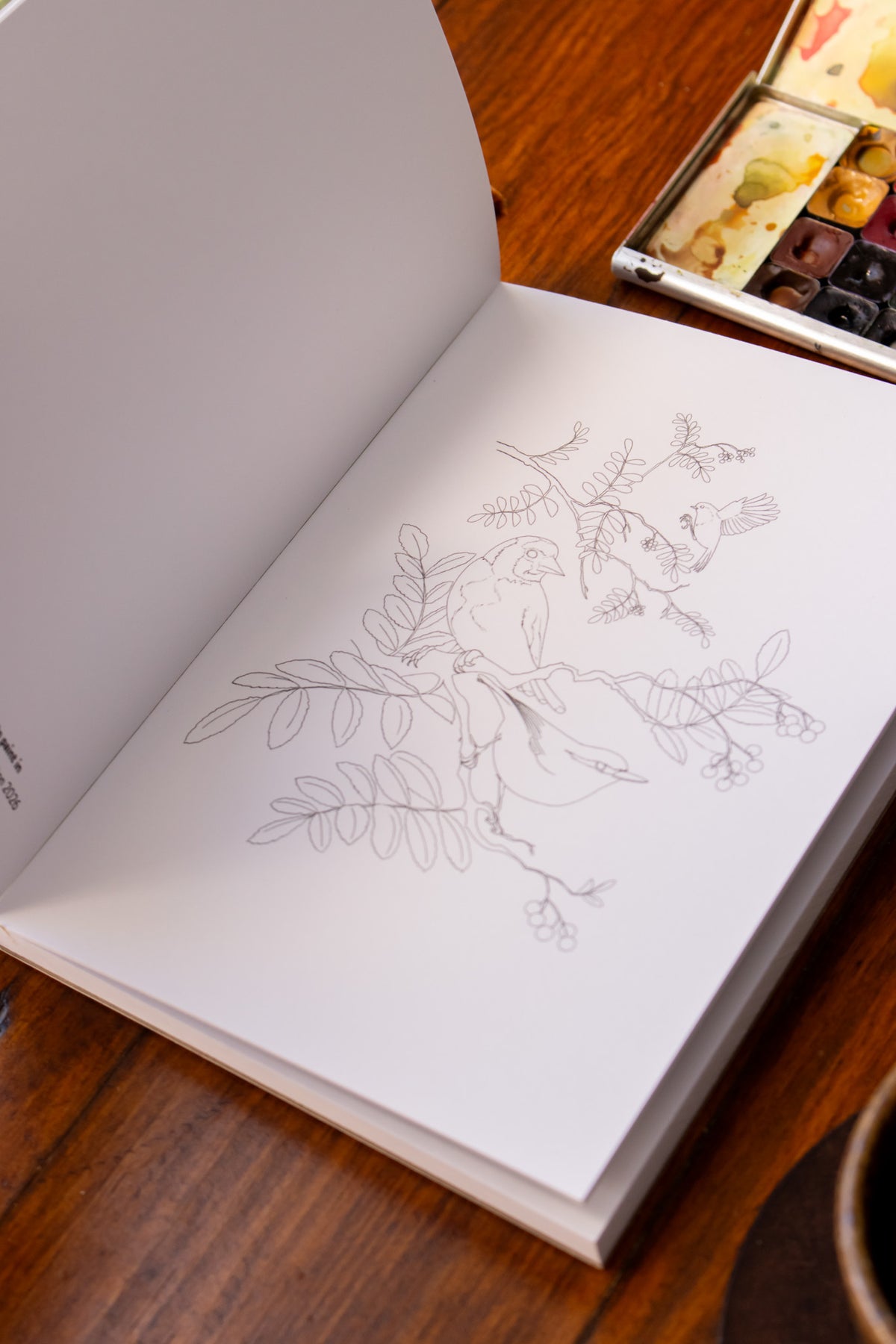 Paint-Your-Own Botanical Postcards