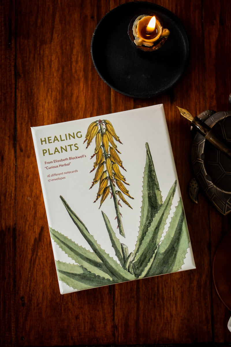 Healing Plants Note Card Set