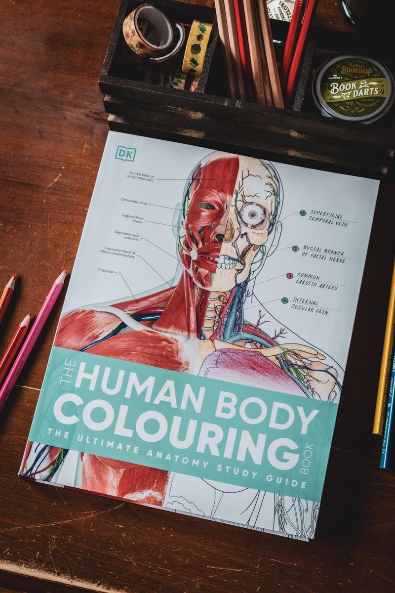 Human Body Colouring Book