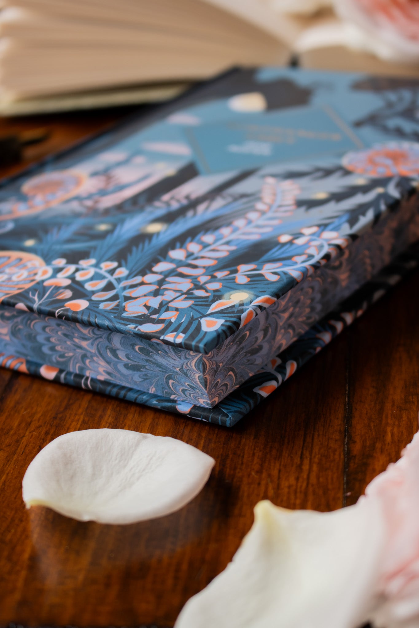 Northanger Abbey (Hardcover)