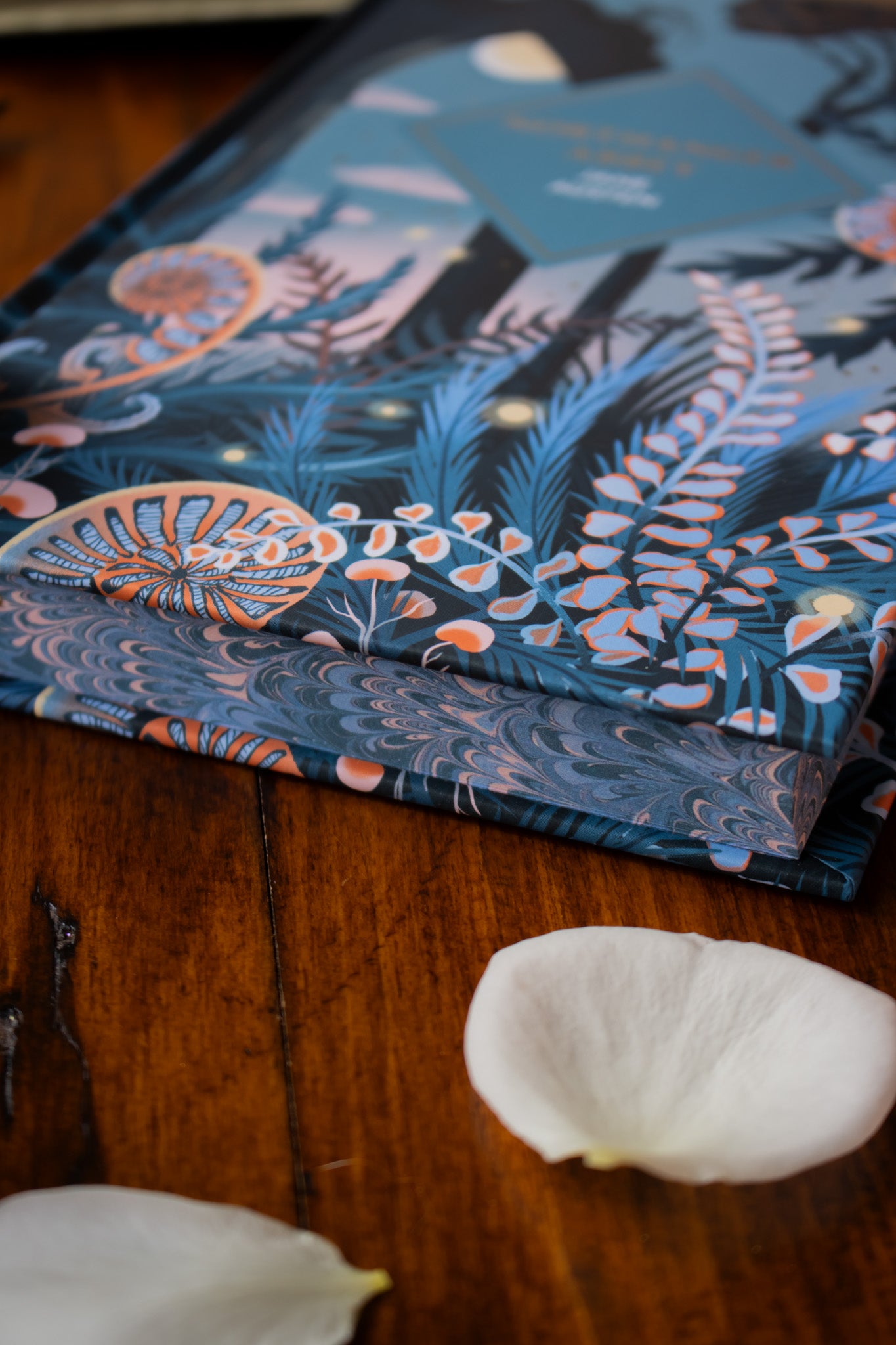 Northanger Abbey (Hardcover)