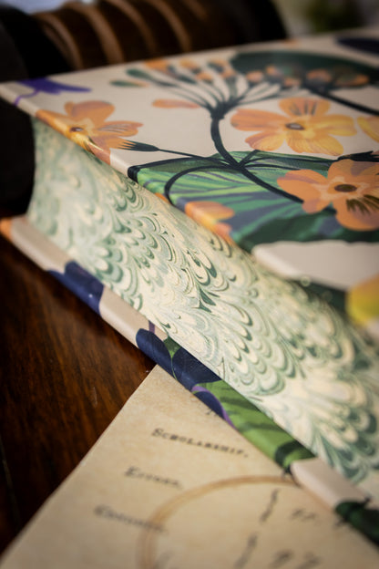 Sense and Sensibility (Hardcover)