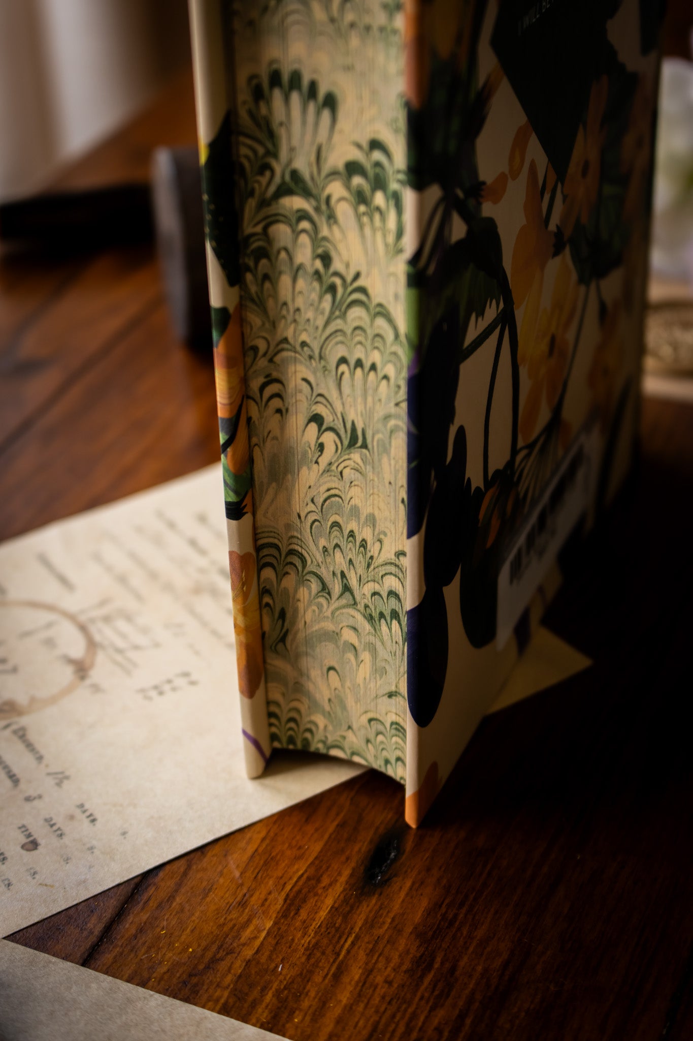 Sense and Sensibility (Hardcover)