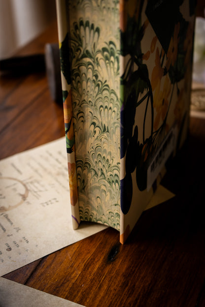 Sense and Sensibility (Hardcover)