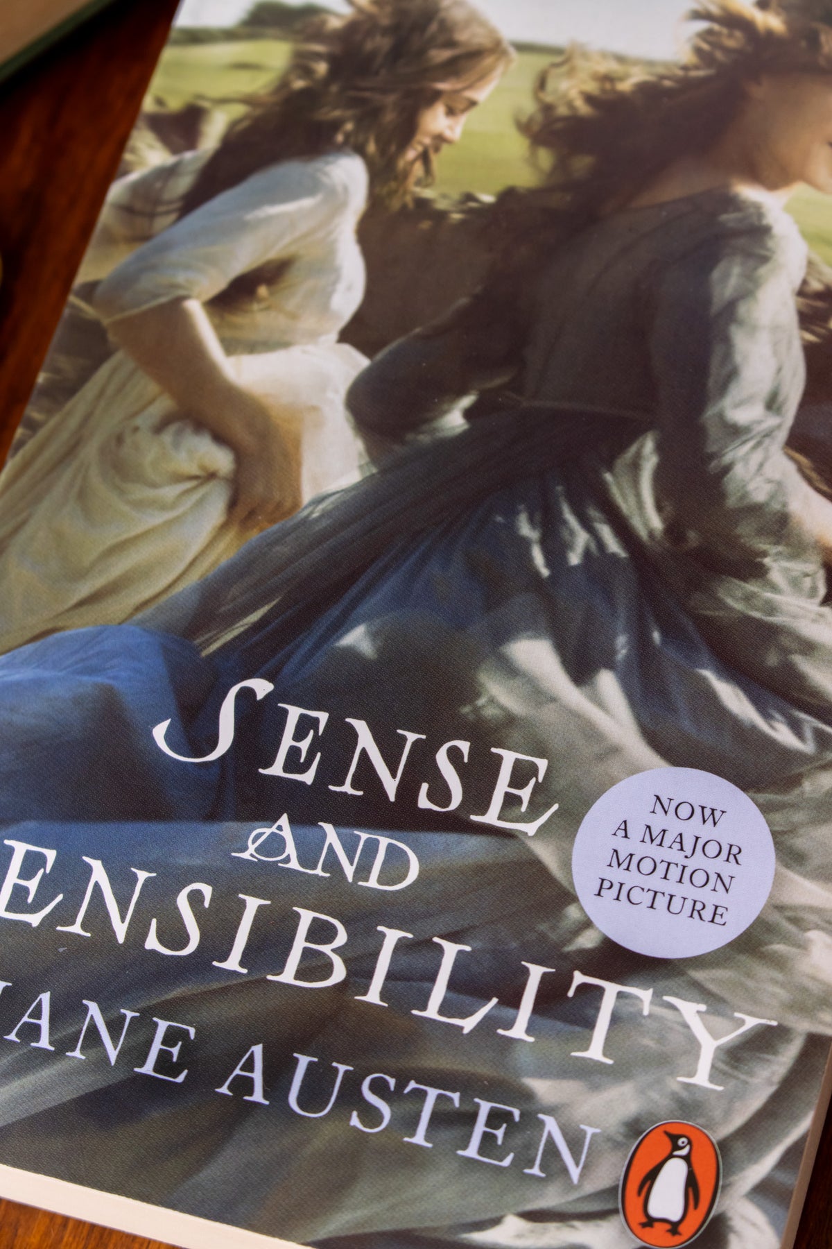 Sense and Sensibility (PB)