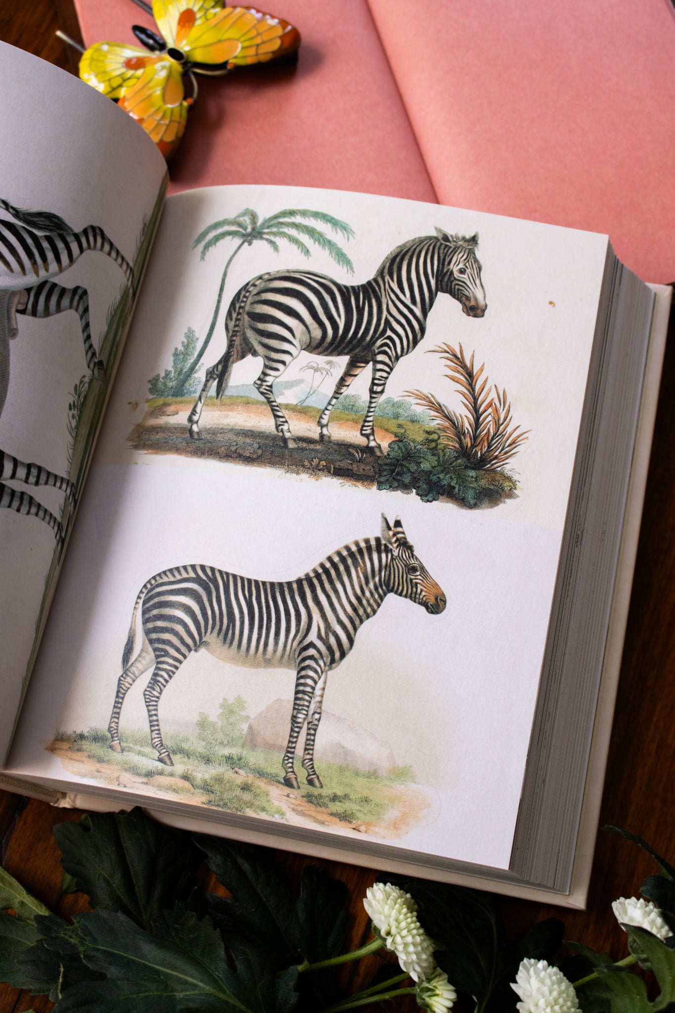 John Derian Sticker Book II