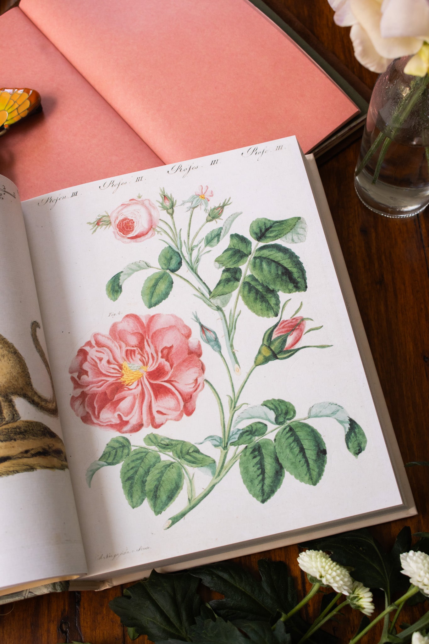 John Derian Sticker Book II