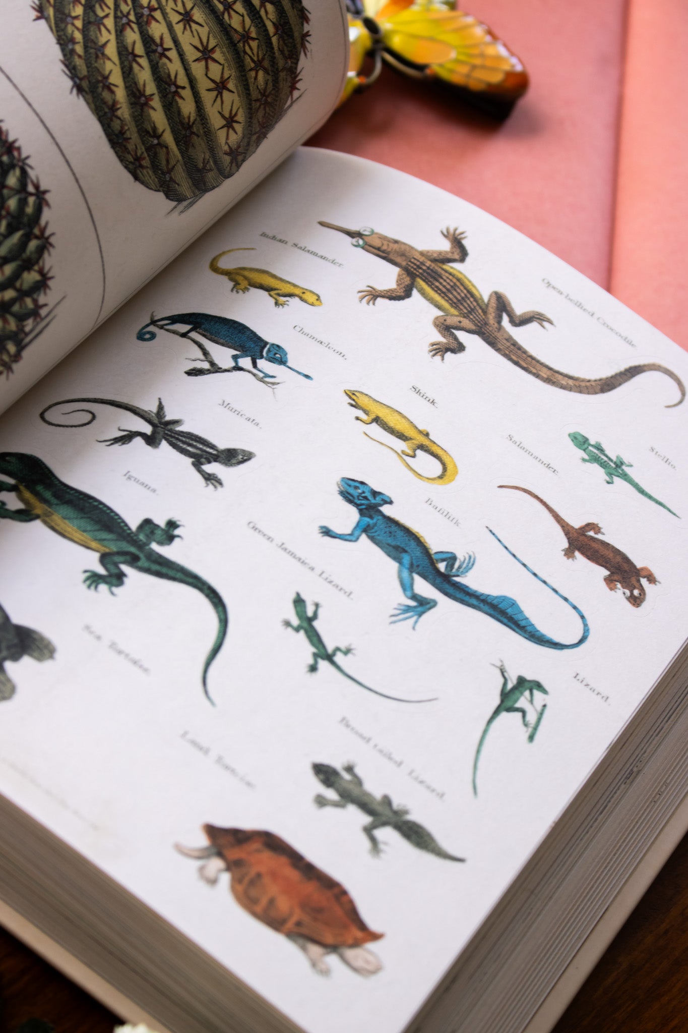 John Derian Sticker Book II