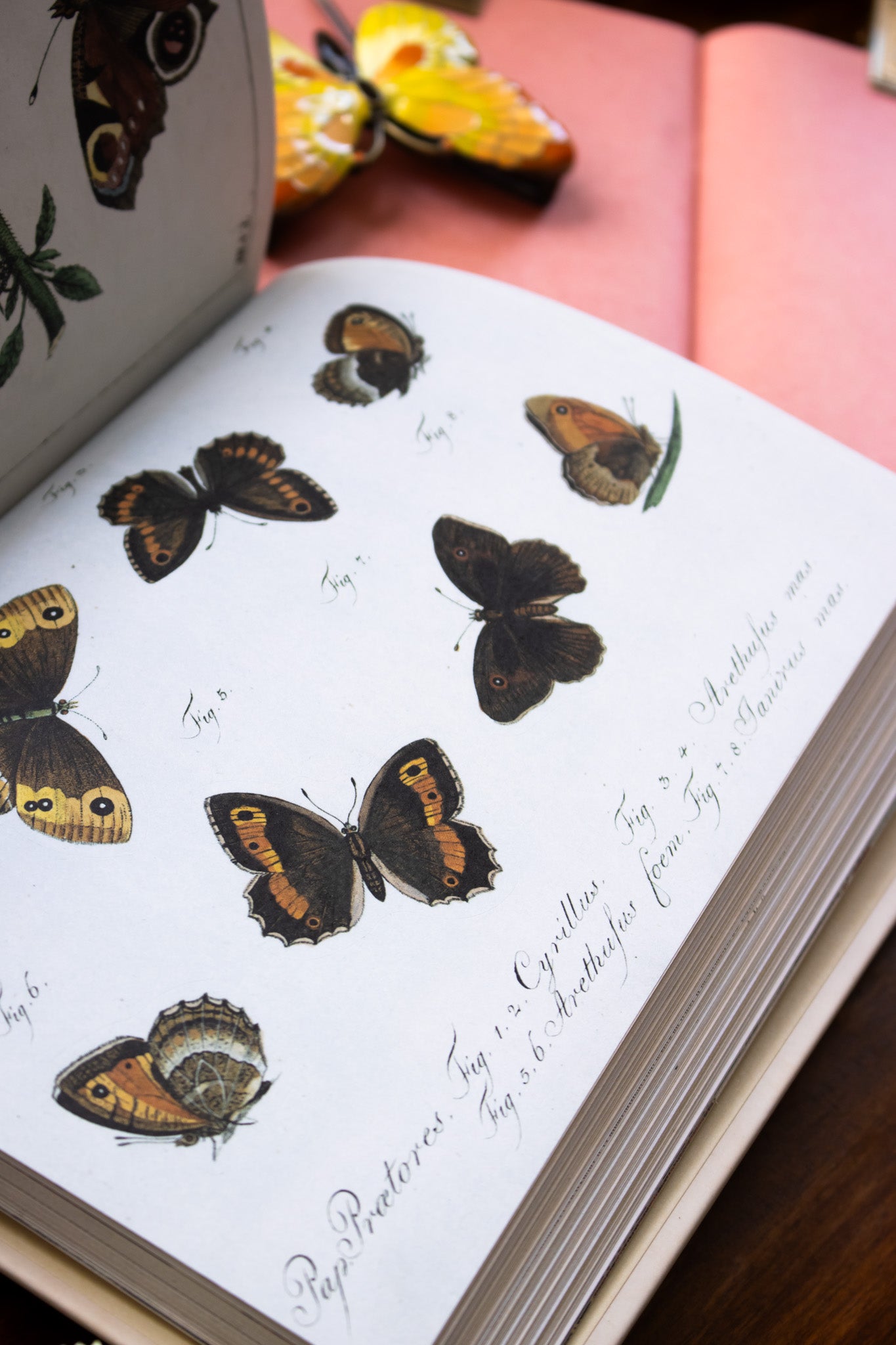 John Derian Sticker Book II