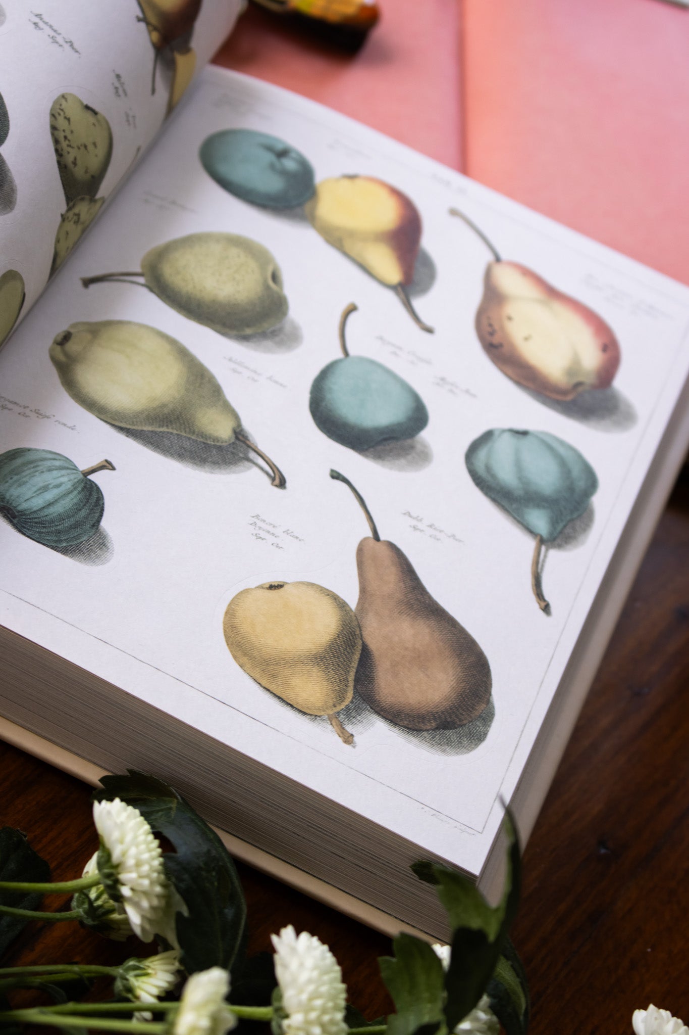 John Derian Sticker Book II