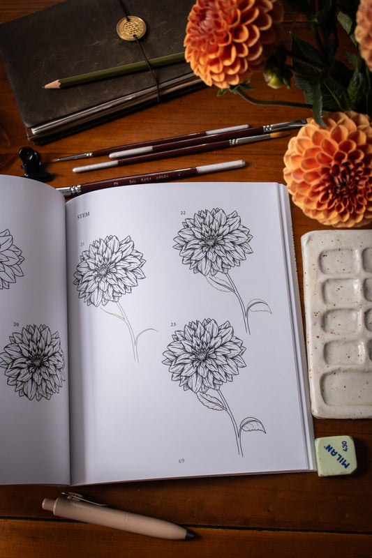 Kew Book Of Drawing Flora And Fauna