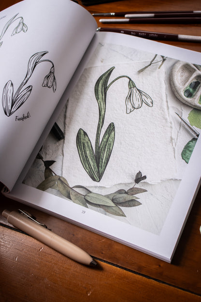 Kew Book Of Drawing Flora And Fauna