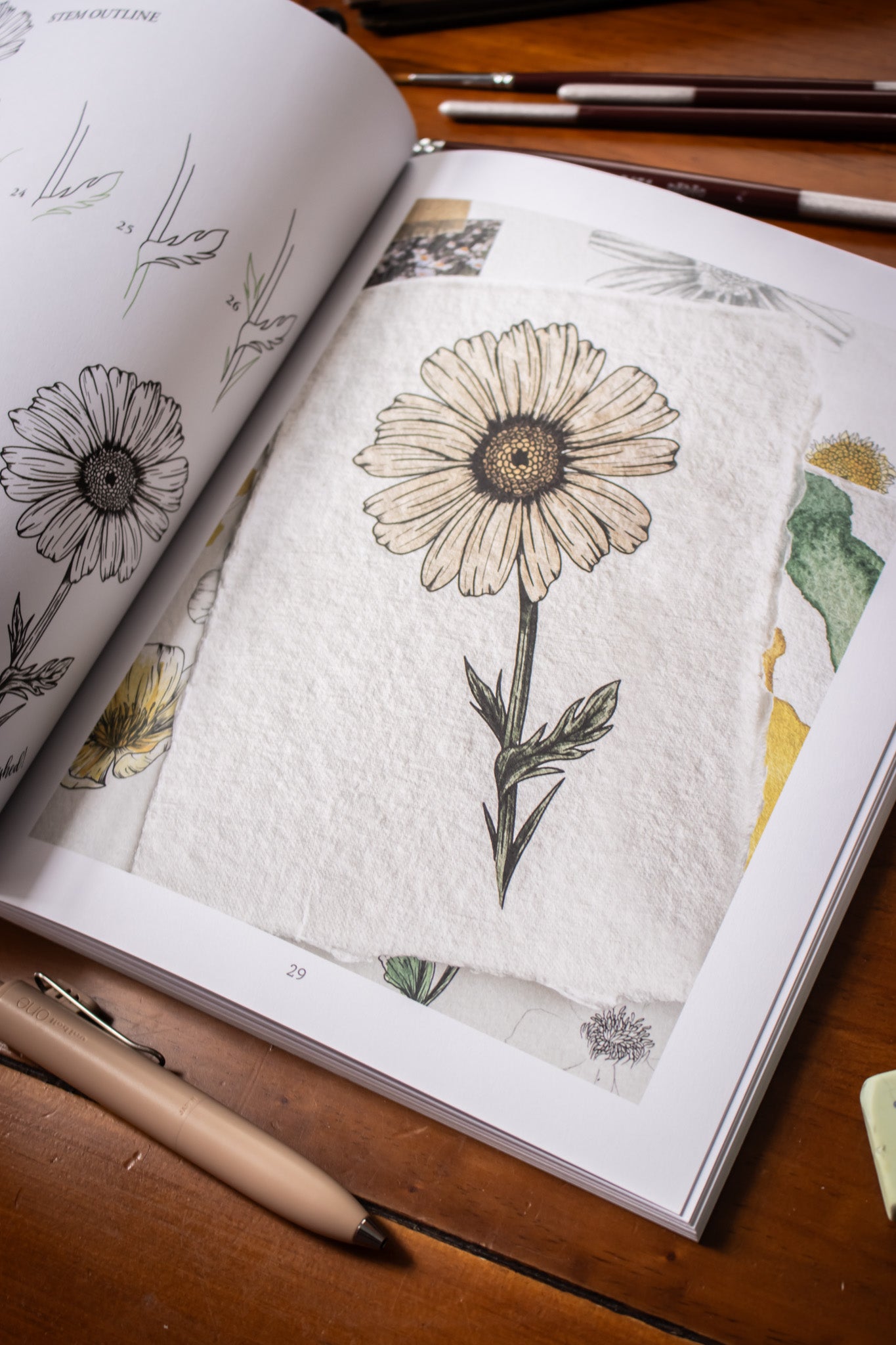 Kew Book Of Drawing Flora And Fauna