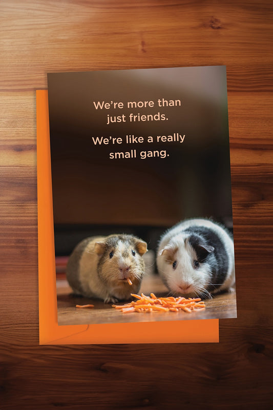 More Than Just Friends Card