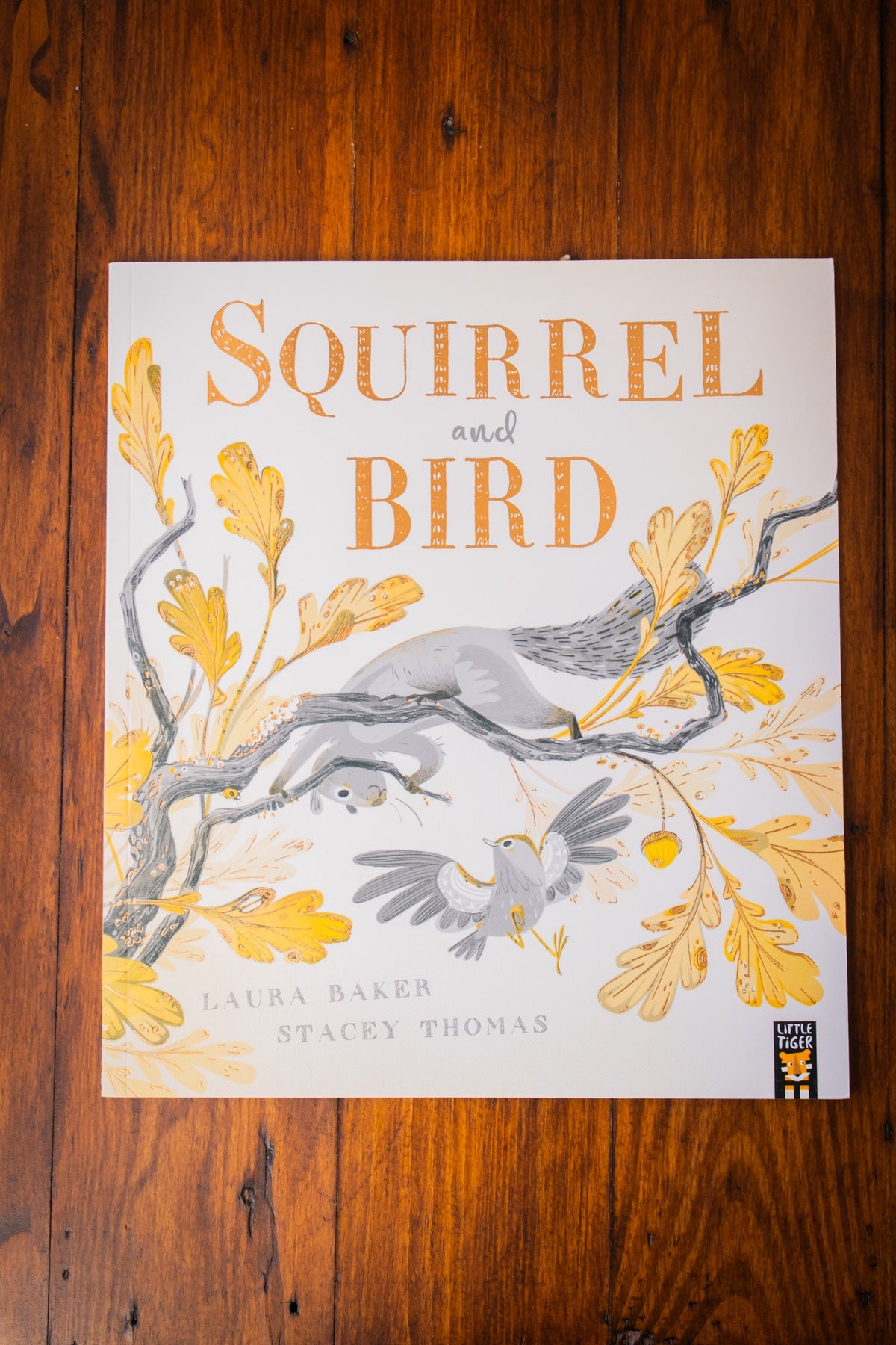 Squirrel And Bird