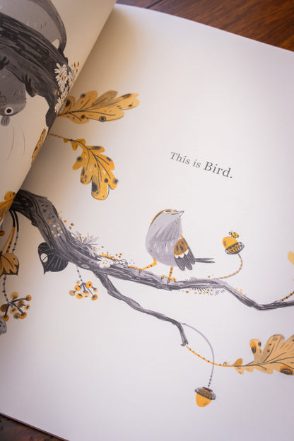 Squirrel And Bird