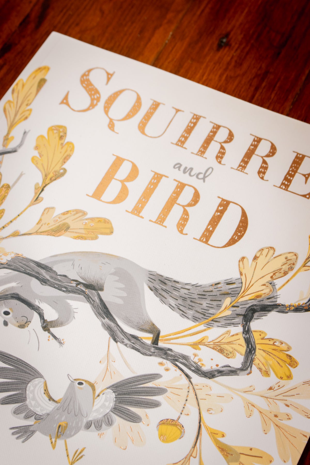 Squirrel And Bird