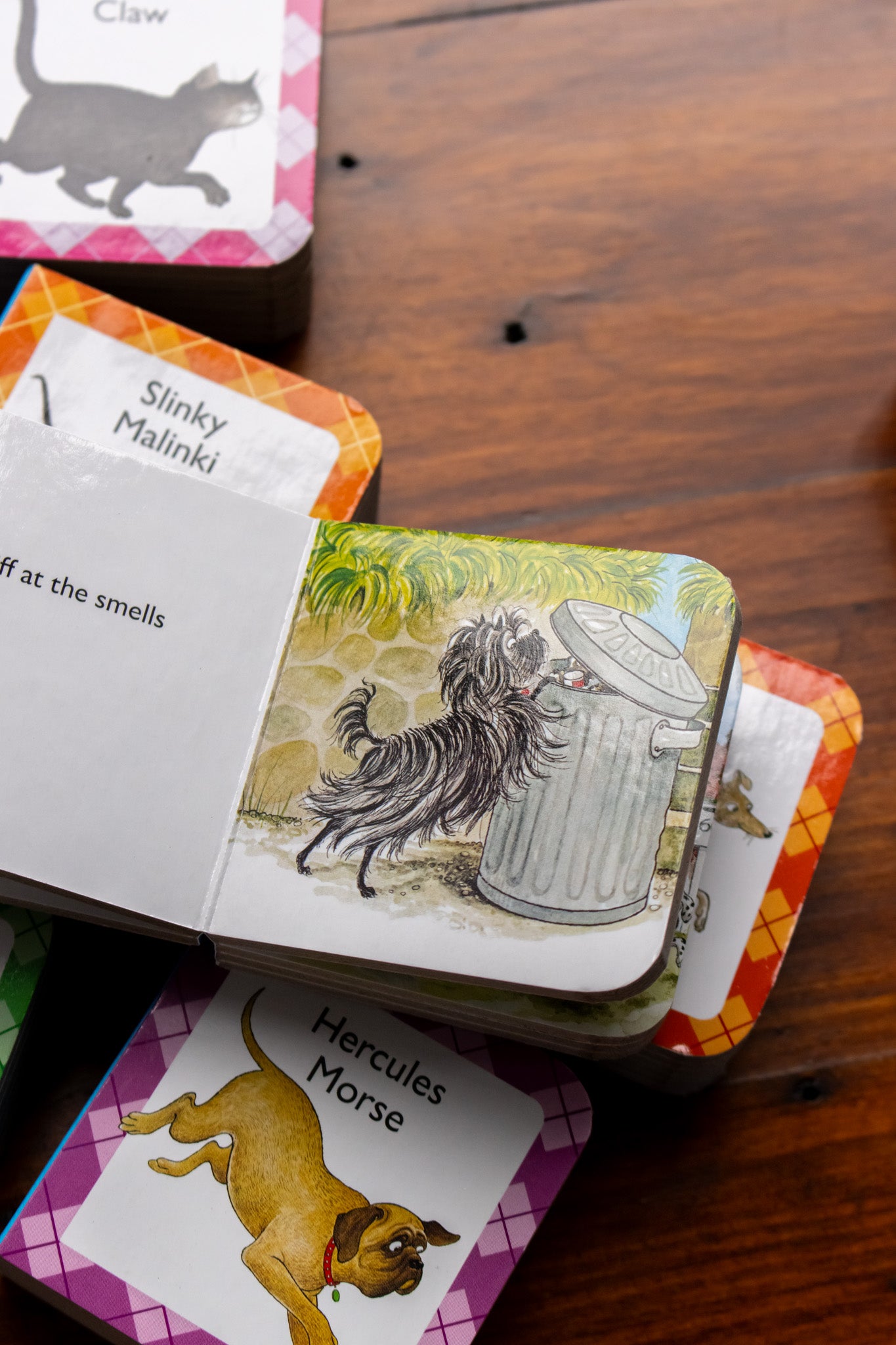 Hairy Maclary Big Box Of Little Books