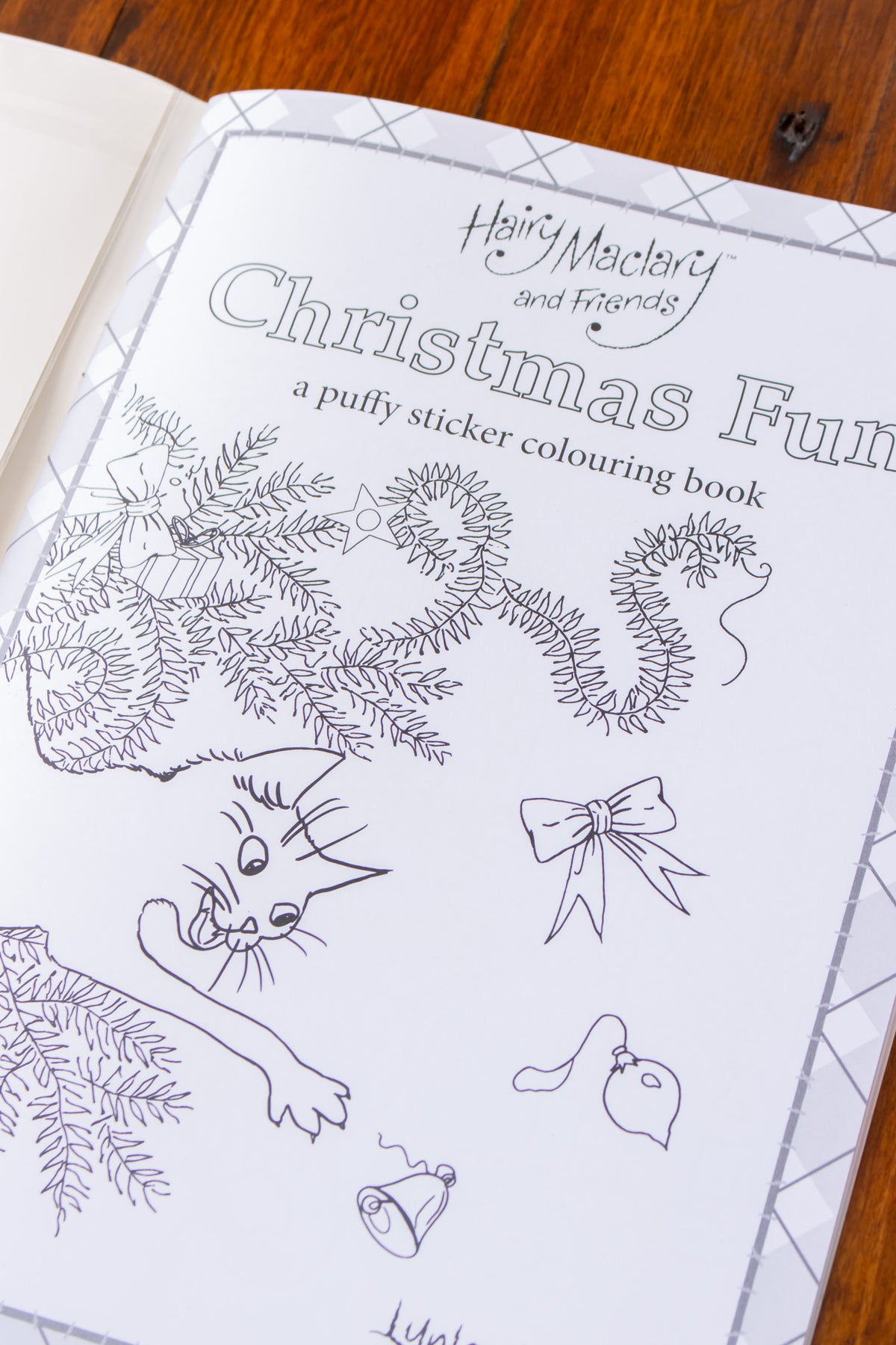 Hairy Maclary and Friends Christmas Fun