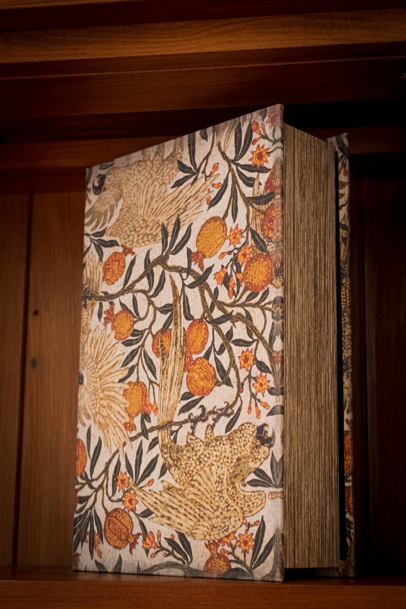 Magnetic Book Box - Large Fruits
