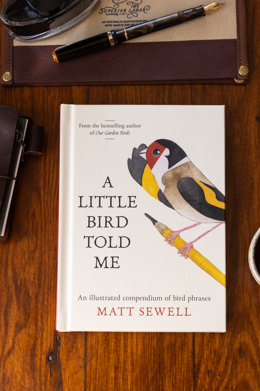 Little Bird Told Me