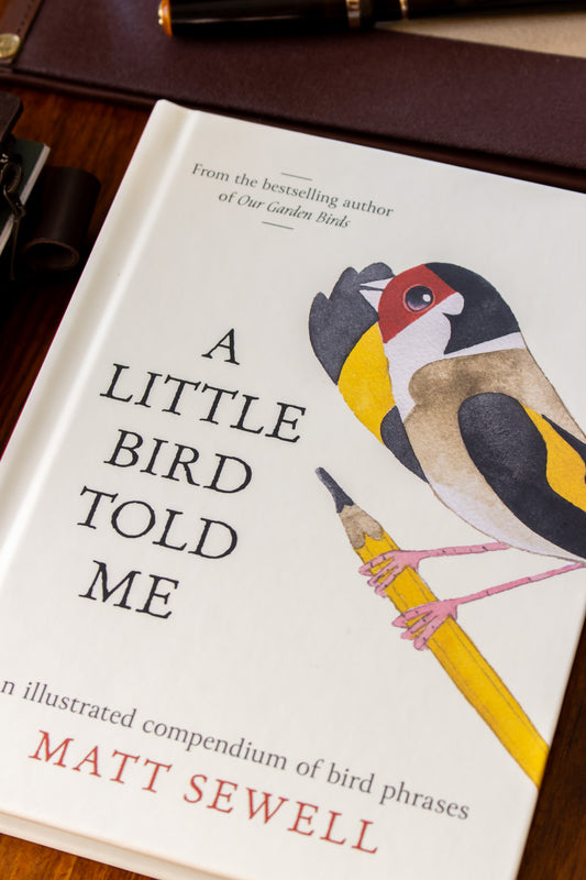 Little Bird Told Me