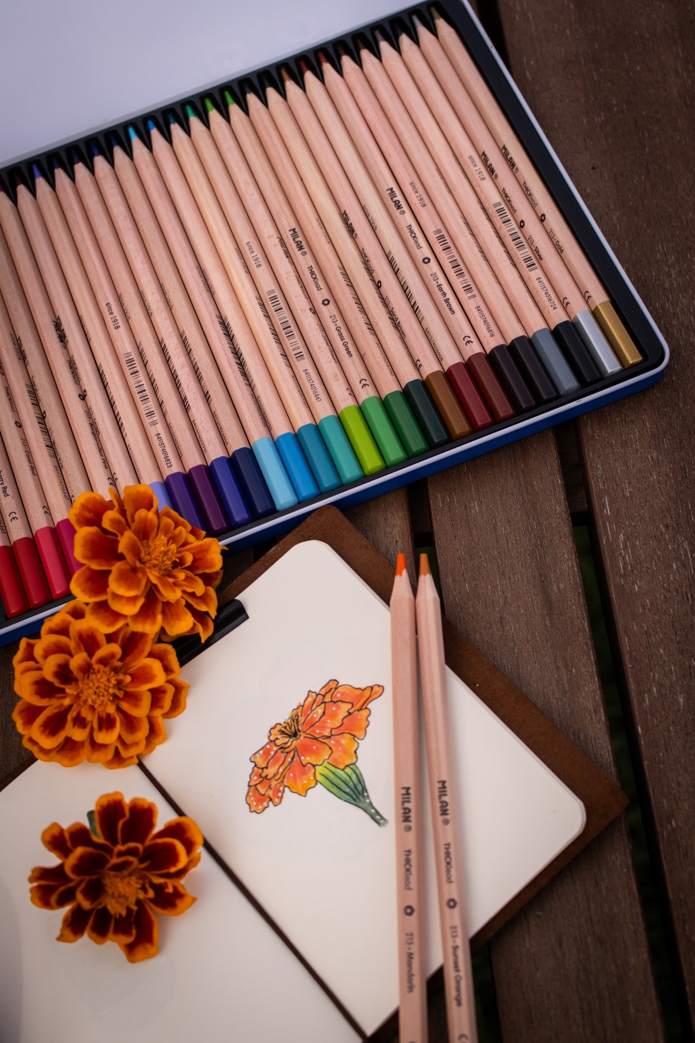 Thick Lead Colour Pencils Metal Box (36 Pack)