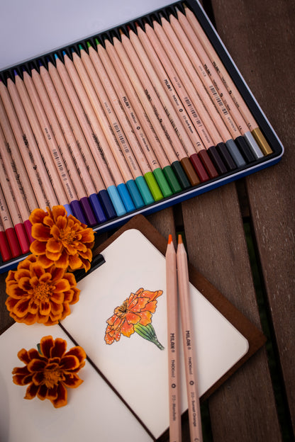 Thick Lead Colour Pencils Metal Box (36 Pack)