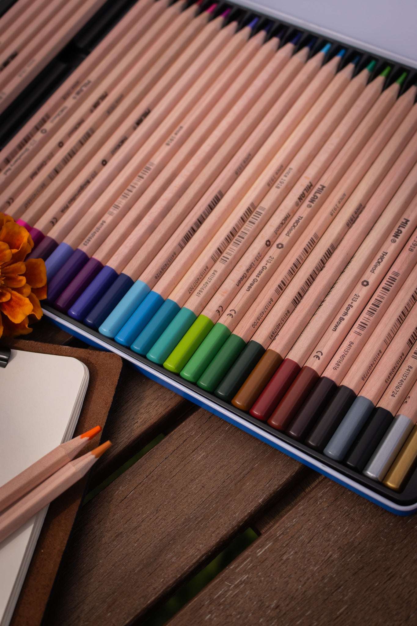 Thick Lead Colour Pencils Metal Box (36 Pack)