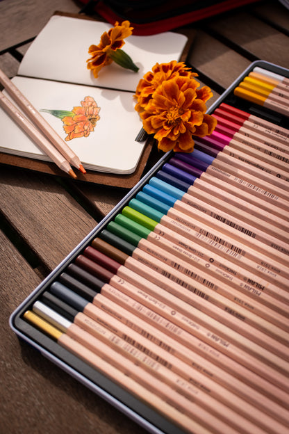 Thick Lead Colour Pencils Metal Box (36 Pack)