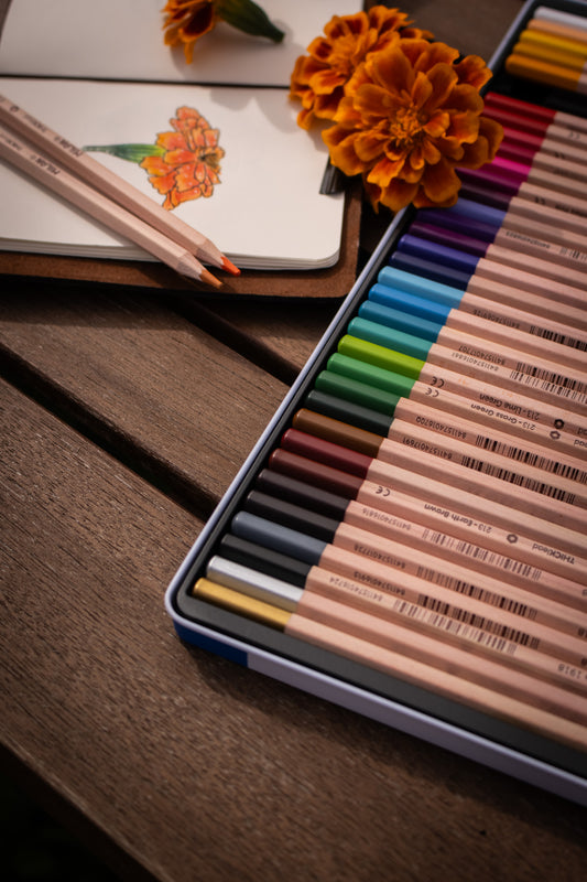 Thick Lead Colour Pencils Metal Box (36 Pack)