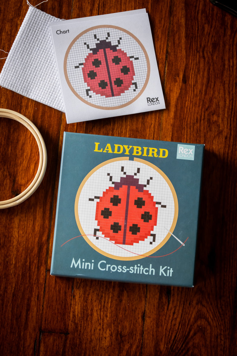 Mini Cross-Stitch Kit - Ladybird