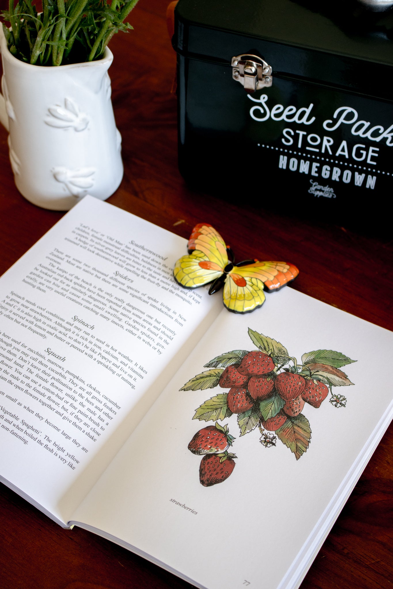 Companion Planting in New Zealand