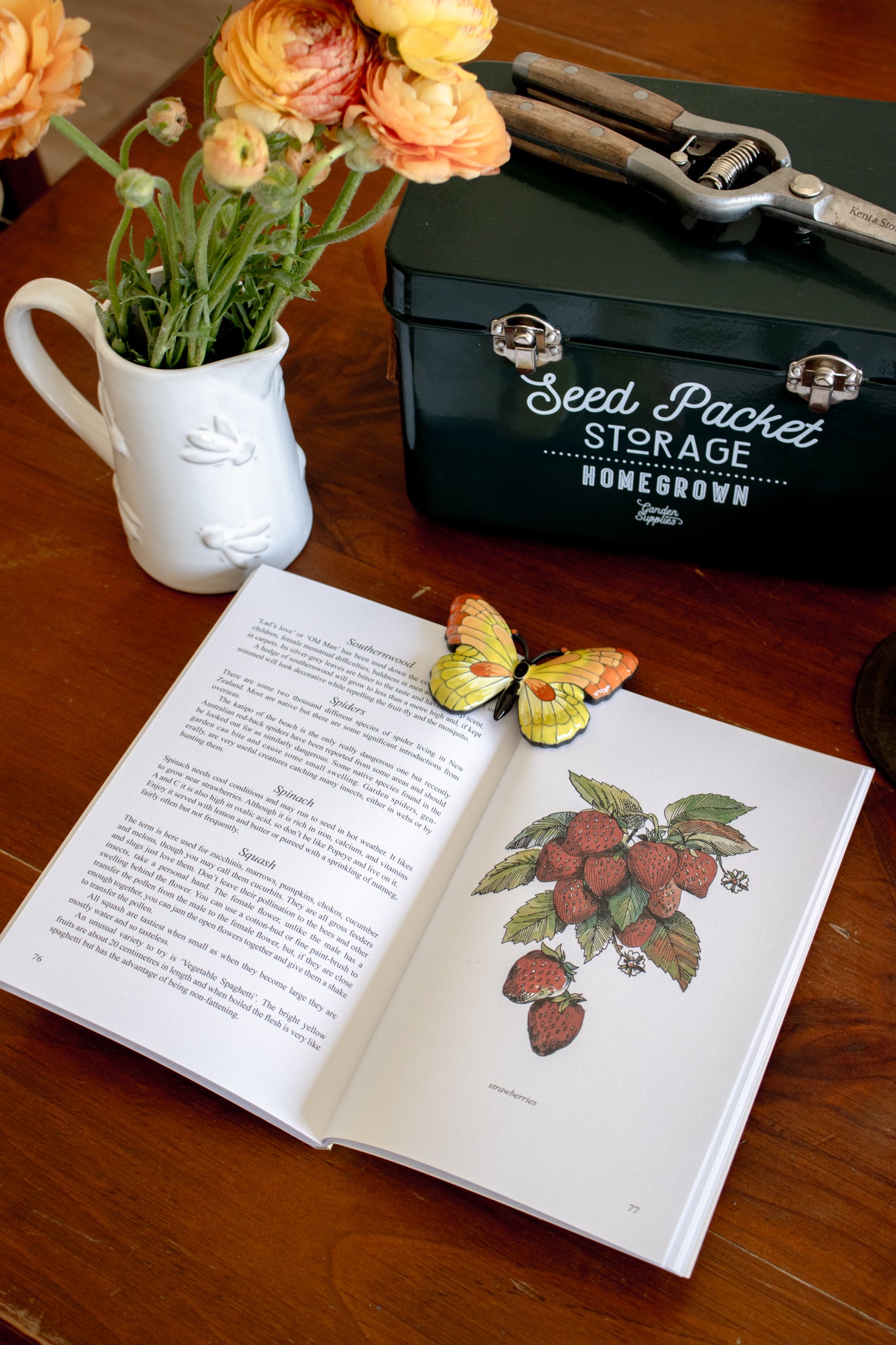 Companion Planting in New Zealand