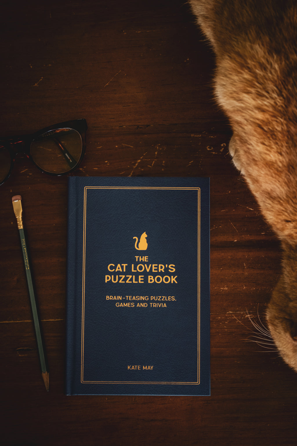 Cat Lover’s Puzzle Book