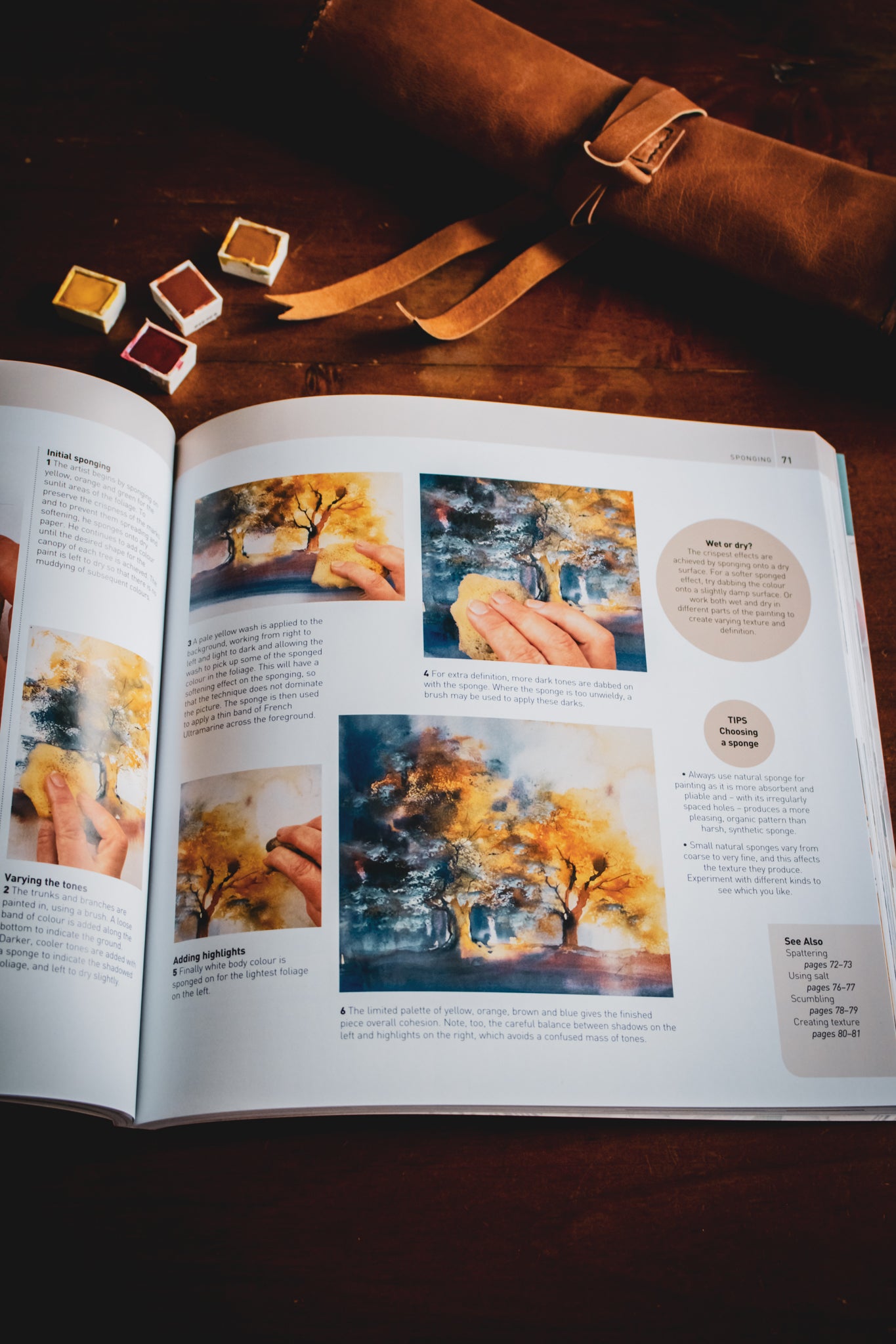 Encyclopedia Of Watercolour Techniques