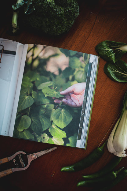 Grow Wahine Finding Connection Through Food